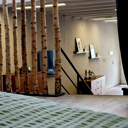 Altstadt Quartier * Hallenberg