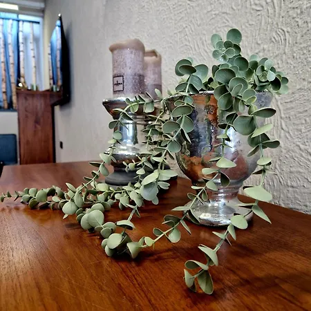 Altstadt Quartier 公寓