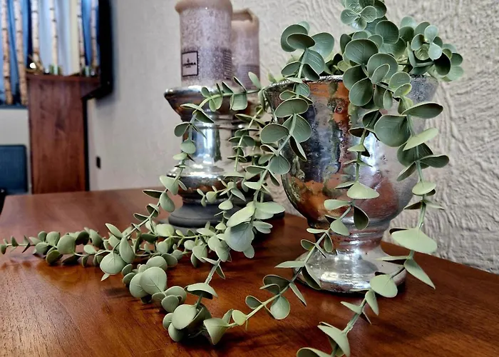 Altstadt Quartier Apartman